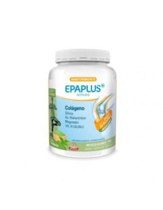 EPAPLUS ARTHICARE MANTENIMIENTO 1 ENVASE 334,38 G SABOR...