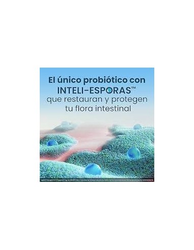 ENTEROGERMINA PROBIOTICO INTESTINAL 10 VIALES