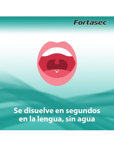 FORTASEC FLAS 12 COMP/IMODIUM FLAS