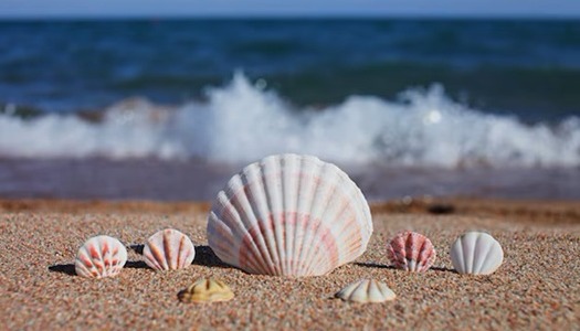 SOL Y PIEL: EL PODER DE LA PROTECCION ORAL